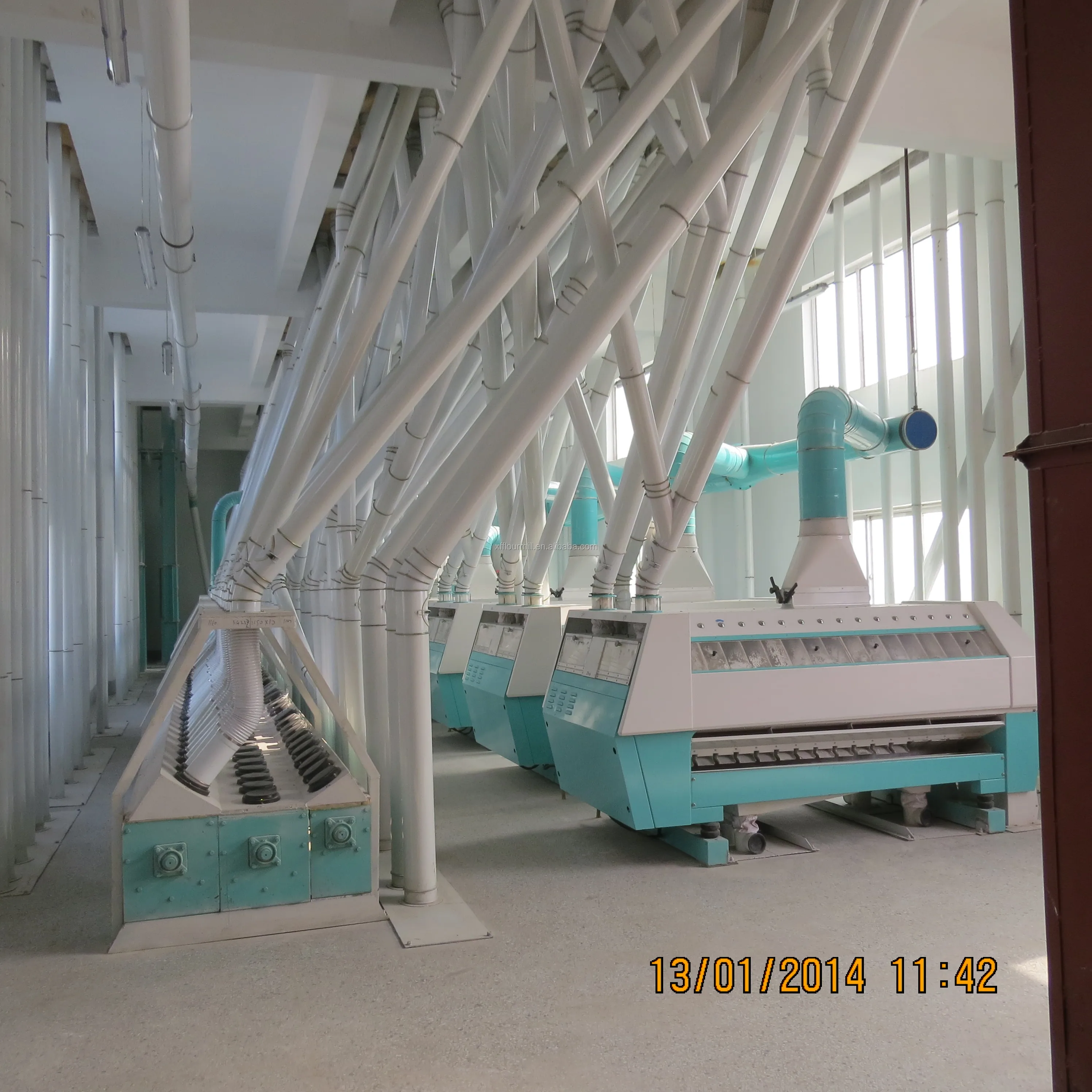 large output 260-300TPD  pepper shucking and grinding machine for sale