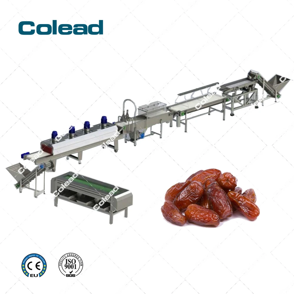 
 Palm dates cleaning machine processing machine for Egypt  