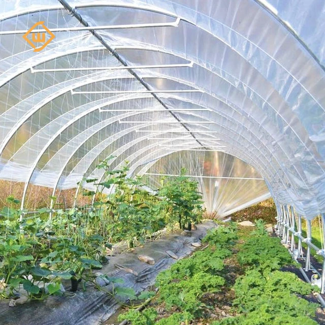 Agricultural Single Span Plastic Tunnel Greenhouse