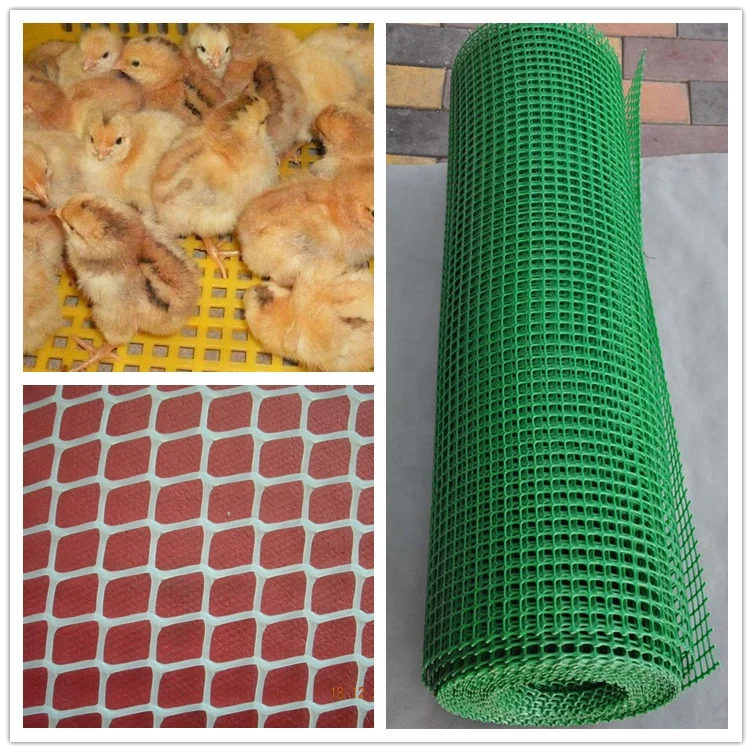 DSY-FGW пластиковой квадратной сетки делая машину