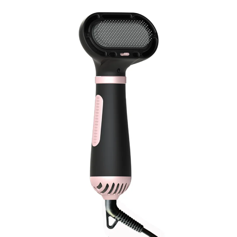 Drop Shipping High Quality Multi Function 2 In 1 Hair Dryer And Comb Brush For Pet Dog