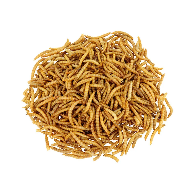 Direct Sales High Nutrition Bird Food Ingredients Balanced Nutrition Bird Food Suitable for All The Birds