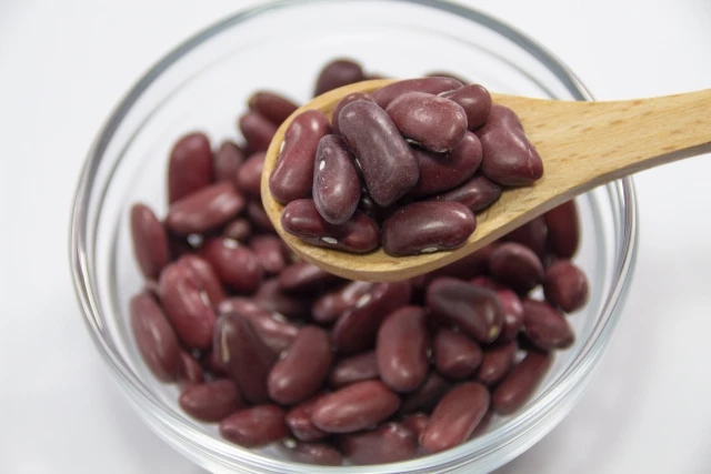 Japanese quality  vegetable protein speckled wholesale red kidney bean