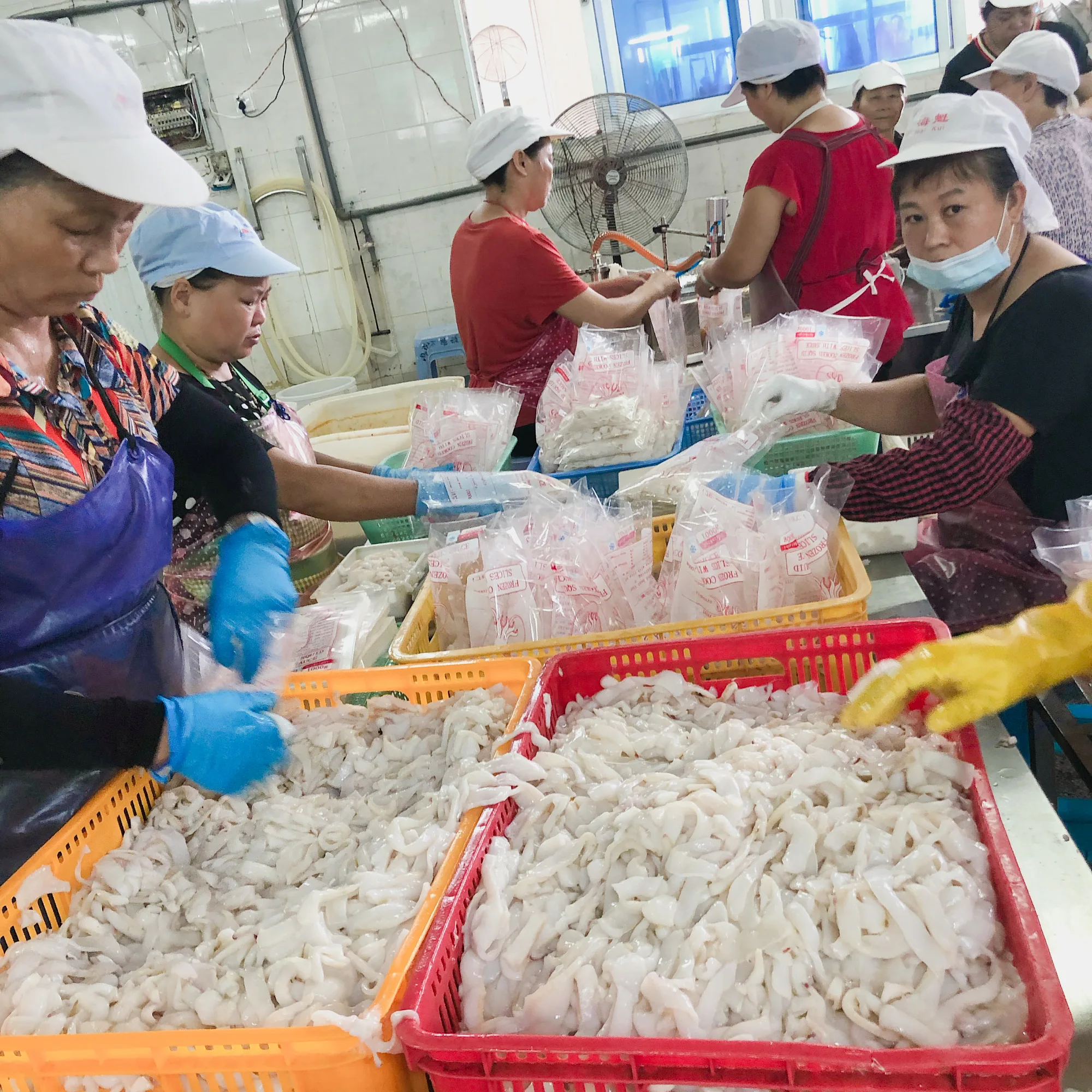 Frozen Cooked Squid Slice With Sauce