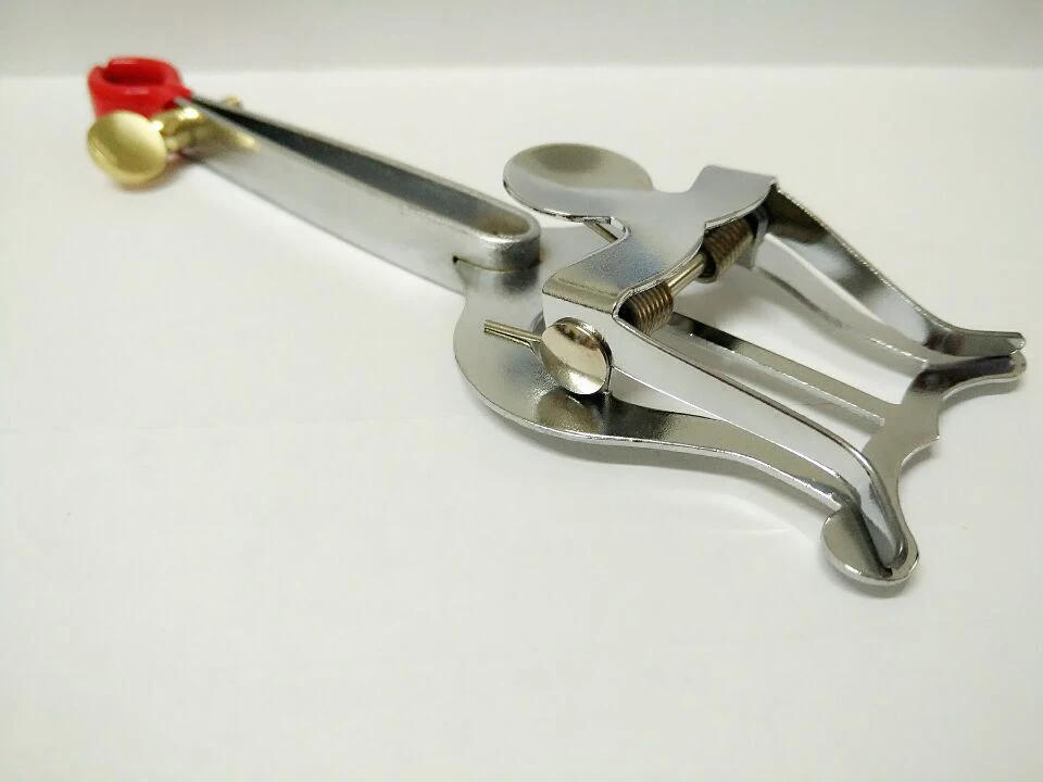 trumpet marching clip  snare drum layer music stand lyre french horn