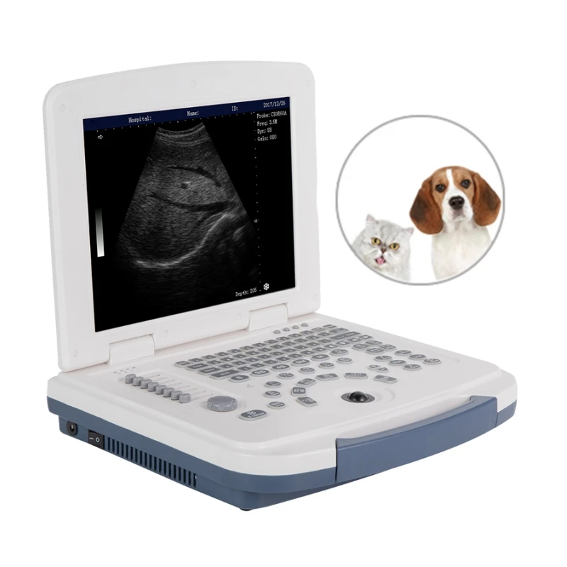 RC-BW580V  portable color doppler ultrasound scanner ultrasound instrument portable machine animal device