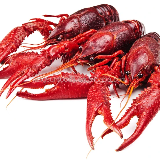Frozen Whole Crawfish Packaged in Bulk Lobster Product Genre for Sale
