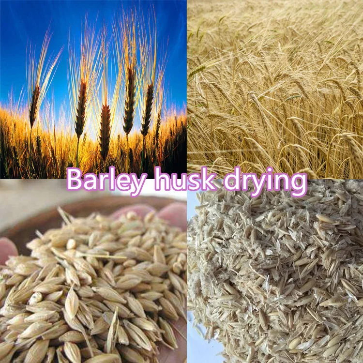 
Sawdust wood chips rice husk biomass rotary drying equipment biomass drum dryer 