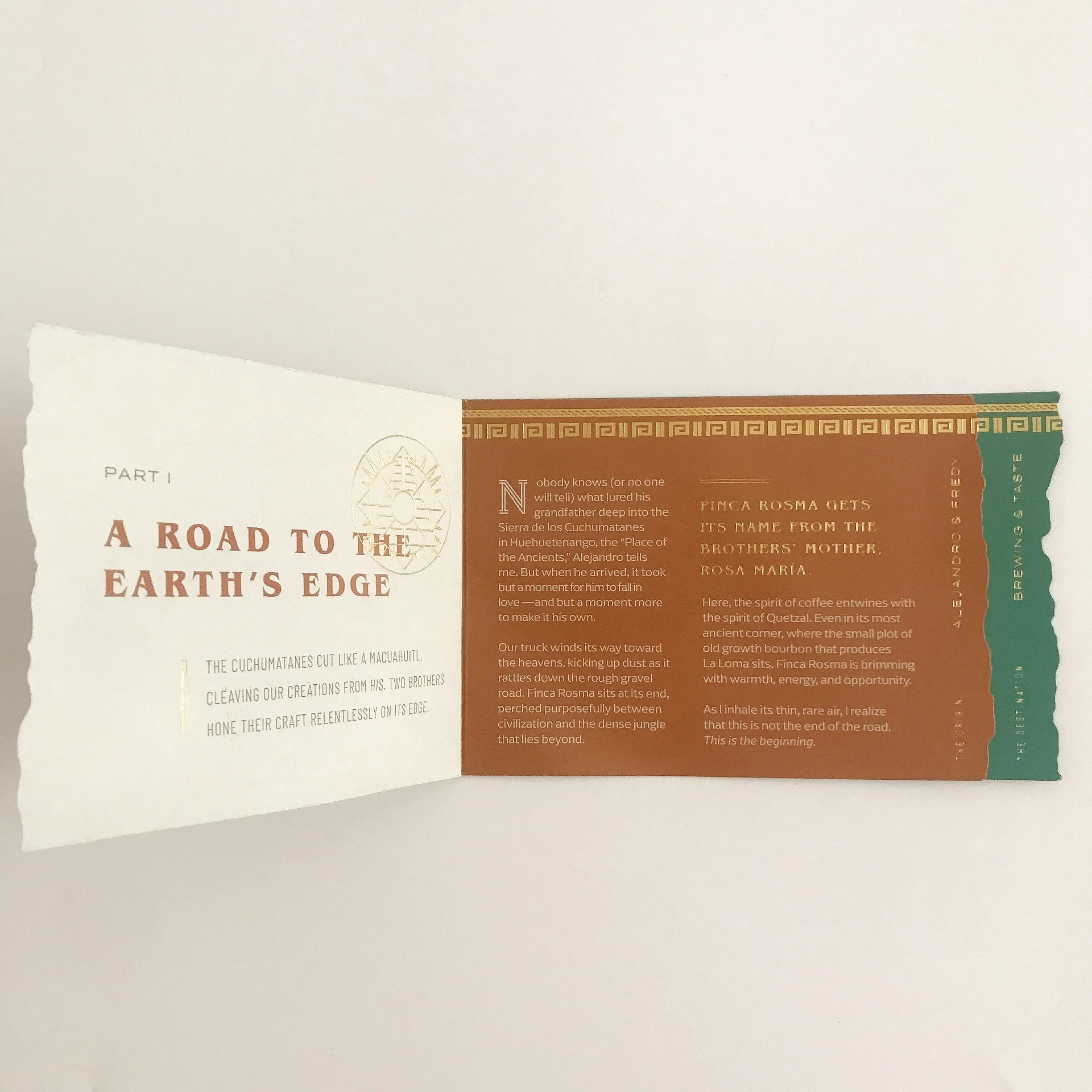 customs folded booklets brochures flyer poster printing phamplet
