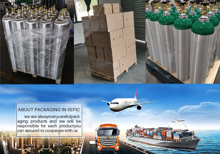 0.6L 150bar co2 gas cylinder Aluminum CO2 Cylinder co2 tank for beverage/beer equipment