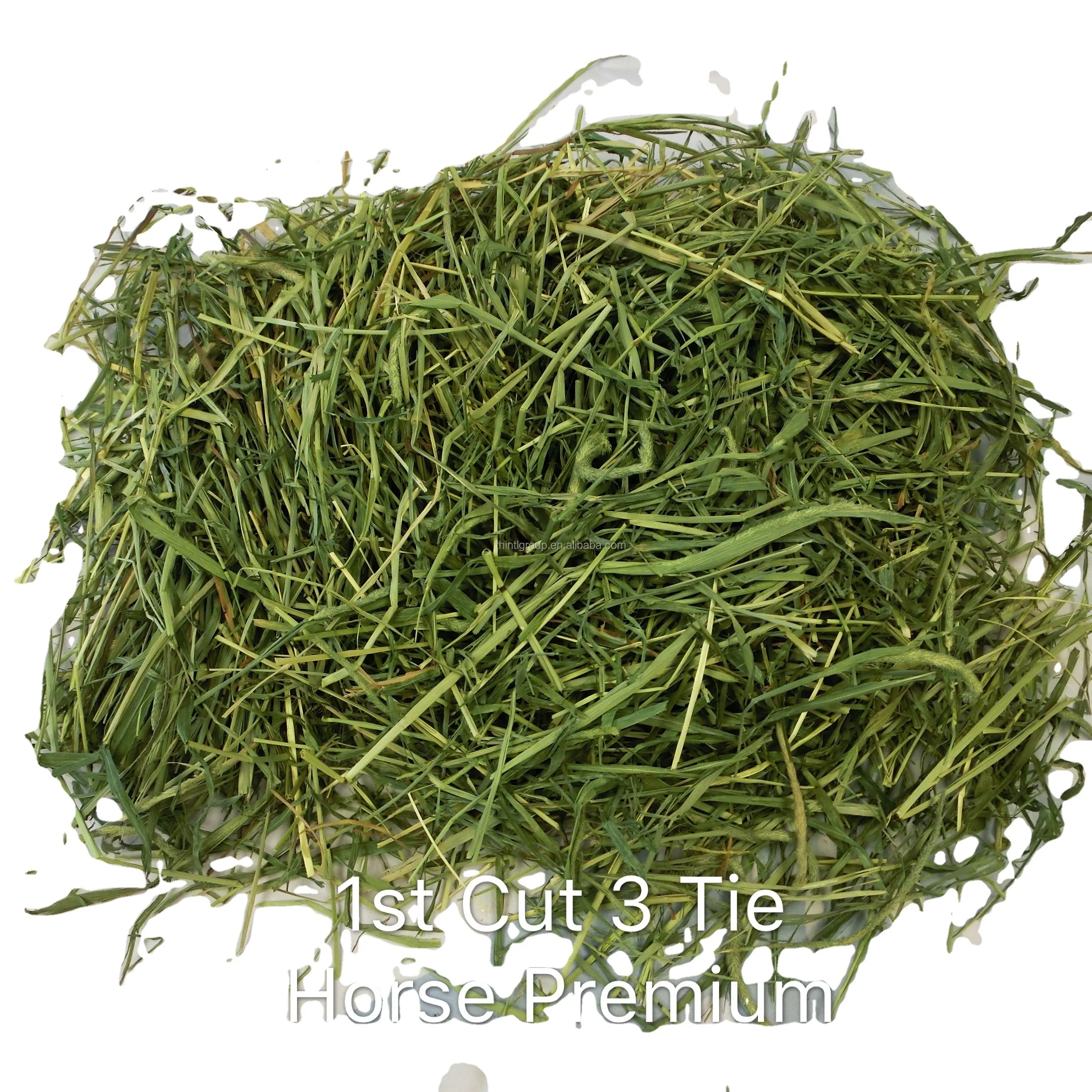 Dairy super Premium alfalfa hay vs timothy hay