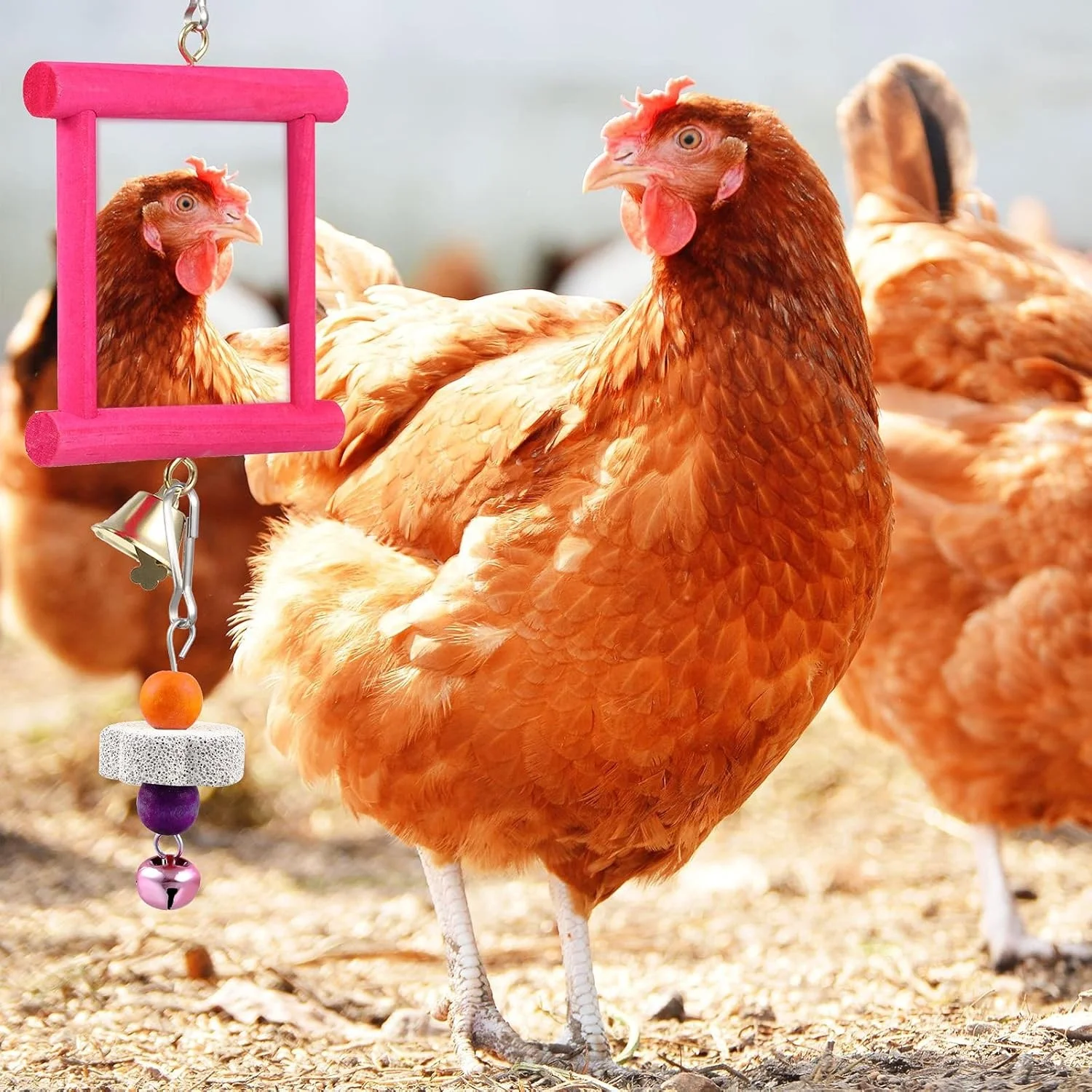 2 Pieces Chicken Coop Hanging Swing Mirrors Toy Beak Grinding Molar Stones  Toy For Hens Birds Parrots
