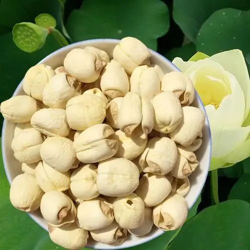 Экспорт сушеных семян лотоса семена Сушеные Семена
