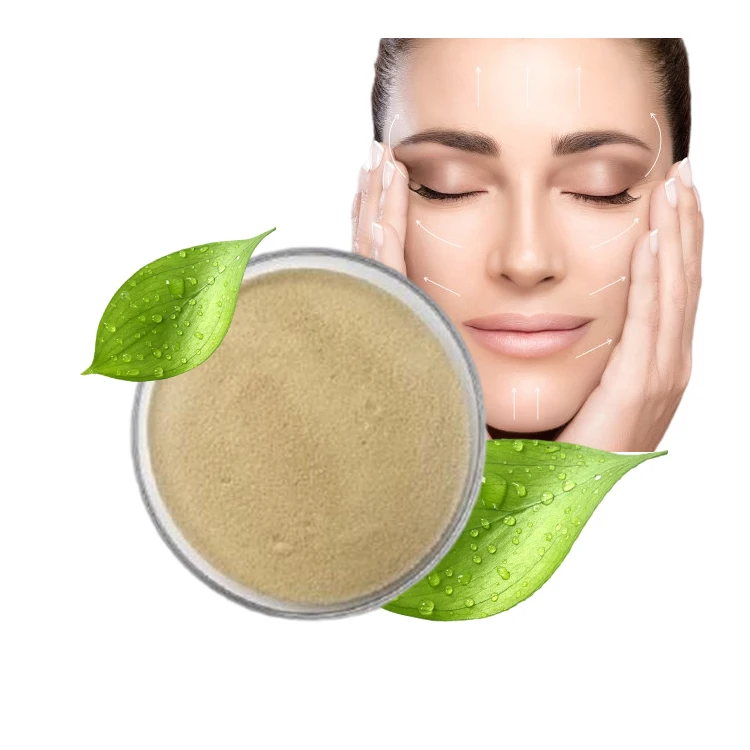 Wholesale Healthcare Supplement  Hydrolyzed Bovine Peptide collagen bovine bone collagen peptide