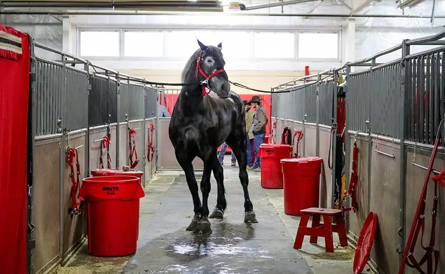 horse stable front door panel portable horse stables stalls with roof