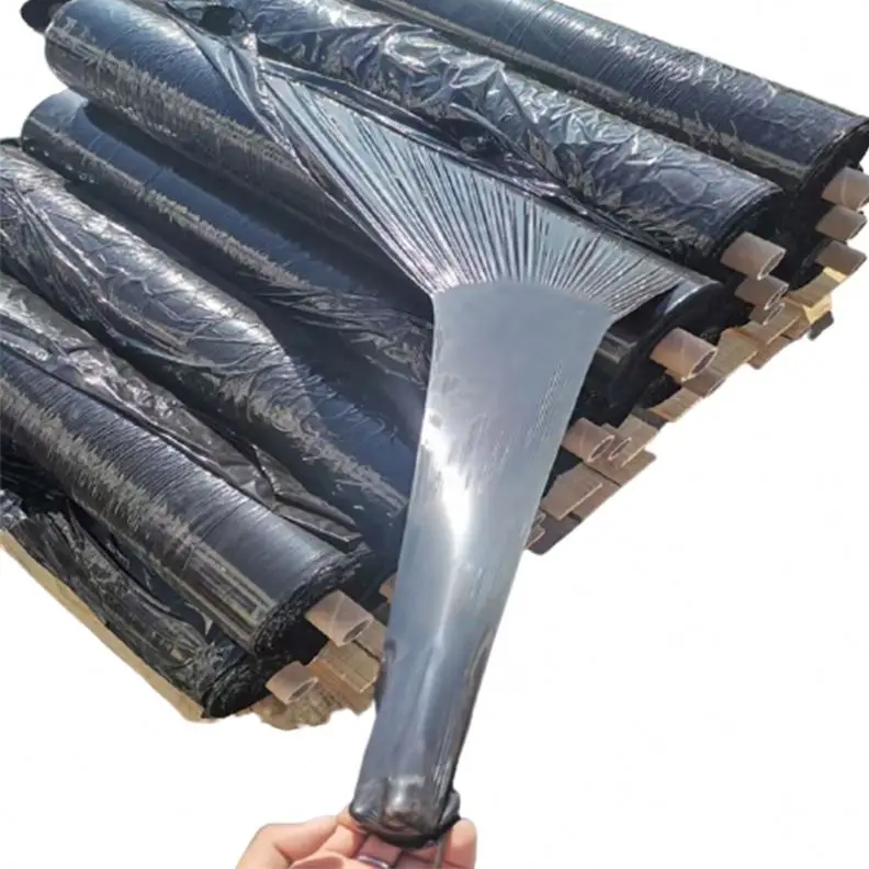 greenhouse strawberry Silver And Black plastic mulch film punch hole for Agriculture