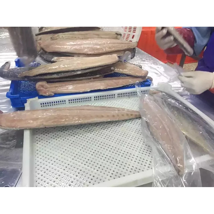 Good taste fresh frozen pacific mackerel fish 300-500g size on sale