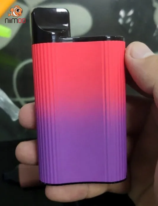 Niimoo Wholesale stock high quality vaporizer 2 in 1 built-in 600mah battery vape rechargeable mesh coil gunpod