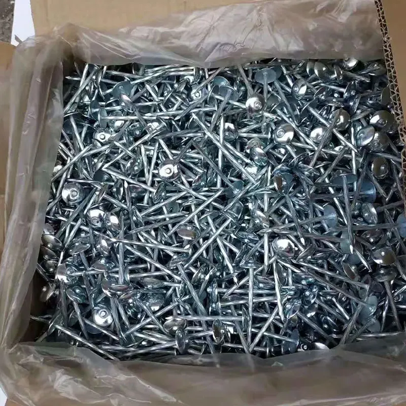 China hot sale 5.5mmx60mm umbrella head smooth twisted galvanized roofing nails for congo