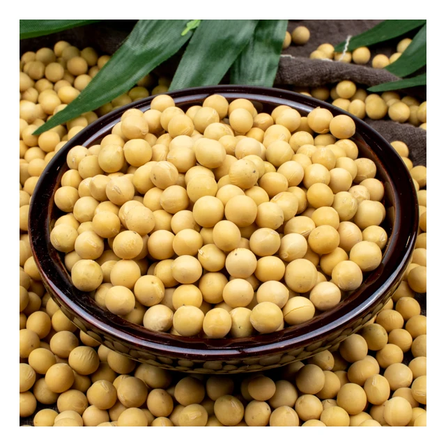 
2021 China soya bean oil seeds soya bean soybean oil soybean oil mad in thai 