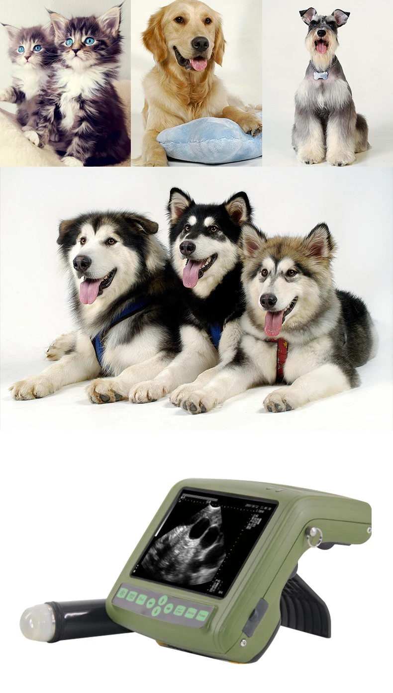 CE certificate Veterinary portable ultrasound scanner Portable Full Digital animal ultrasound machine