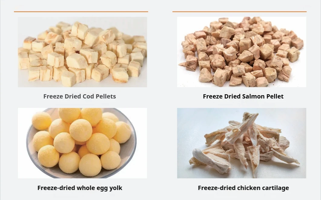 OEM/ODM Freeze Dried Egg Yolk Dog Snacks Containing Lecithin Beautiful Hair And Strong Body Mixed With Food For Cats And Dogs