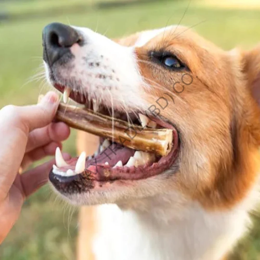 Healthy Teeth and Gums Natural Long Lasting Beef Large Breed Aggressive Chewer Meaty Filled Stick Bully Stick Chew Treat For Dog