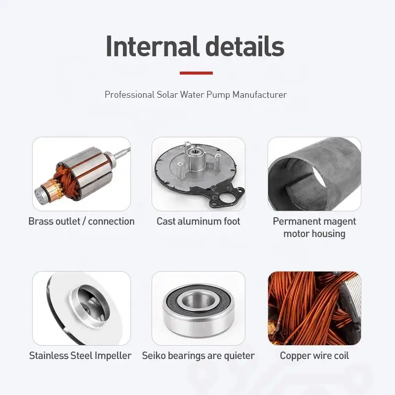 Zheming 72V Bomba Submersa Solar Water Submersible Well Pump For Agriculture Farm Irrigation