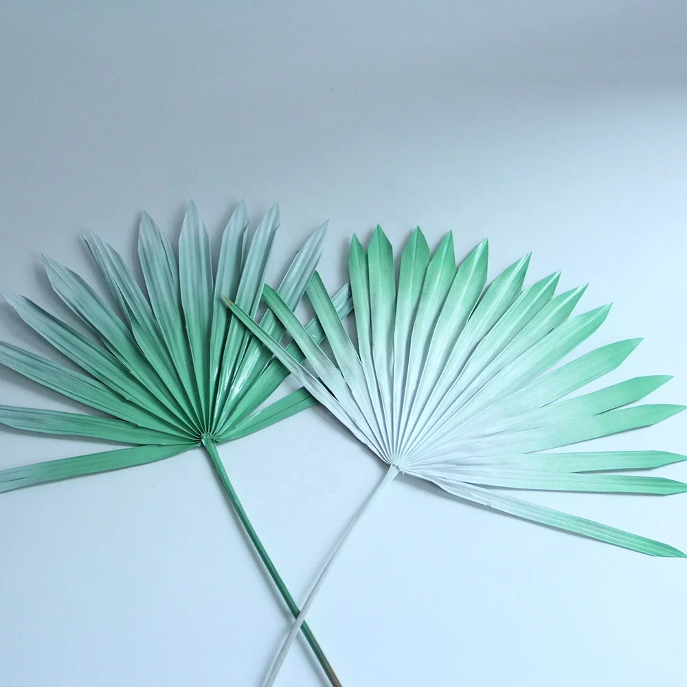 Primary Source Wholesale  Dried Flower Sun Plam Fan Leaves Sprayed color  Plant Material for Home Hotel Office Party Wedding Dec