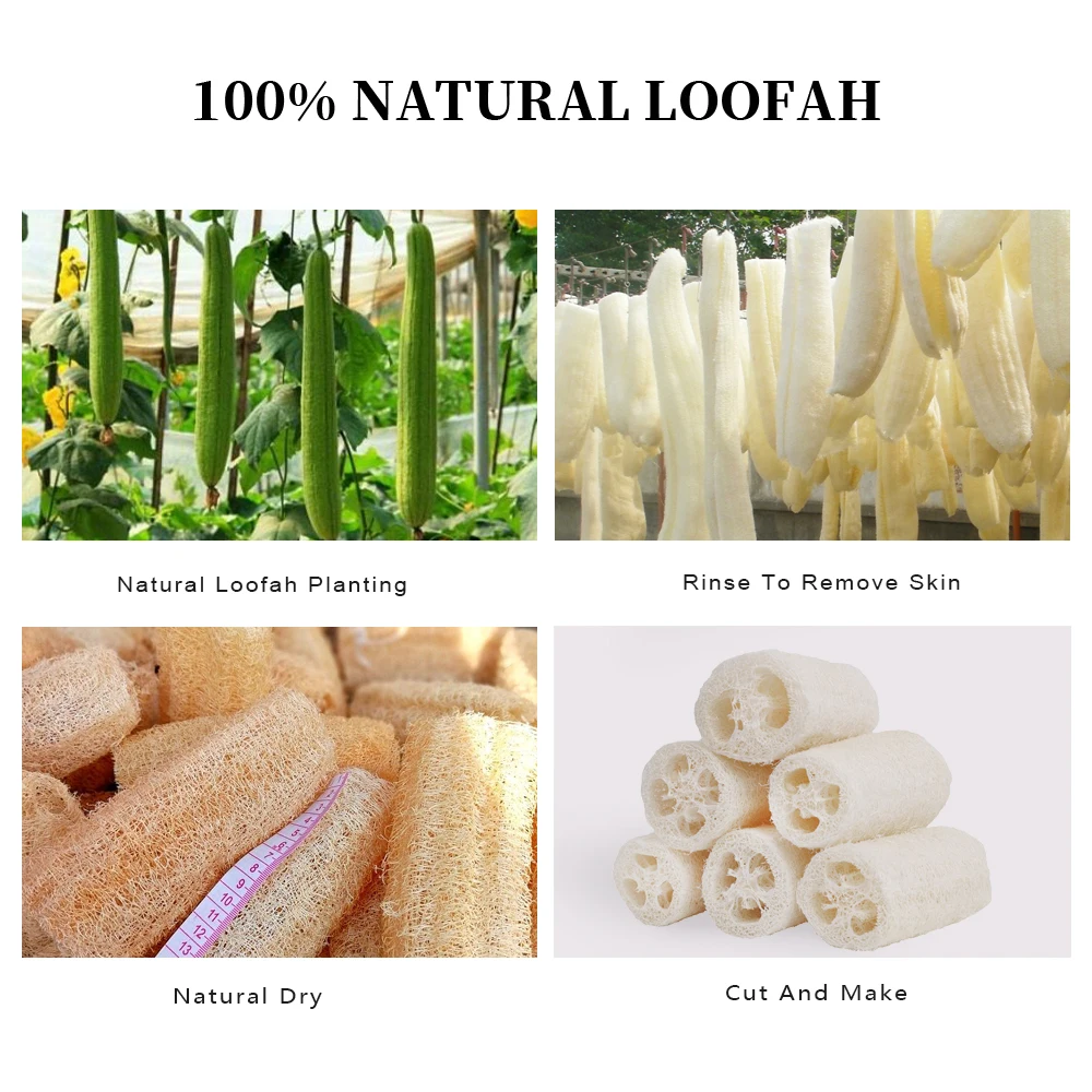 Wholesale Price Dish cleaning 100% Natural raw material Bath Sponge Body Scrubber Loofa Luffa Loffa loofah for kitchen cleaning