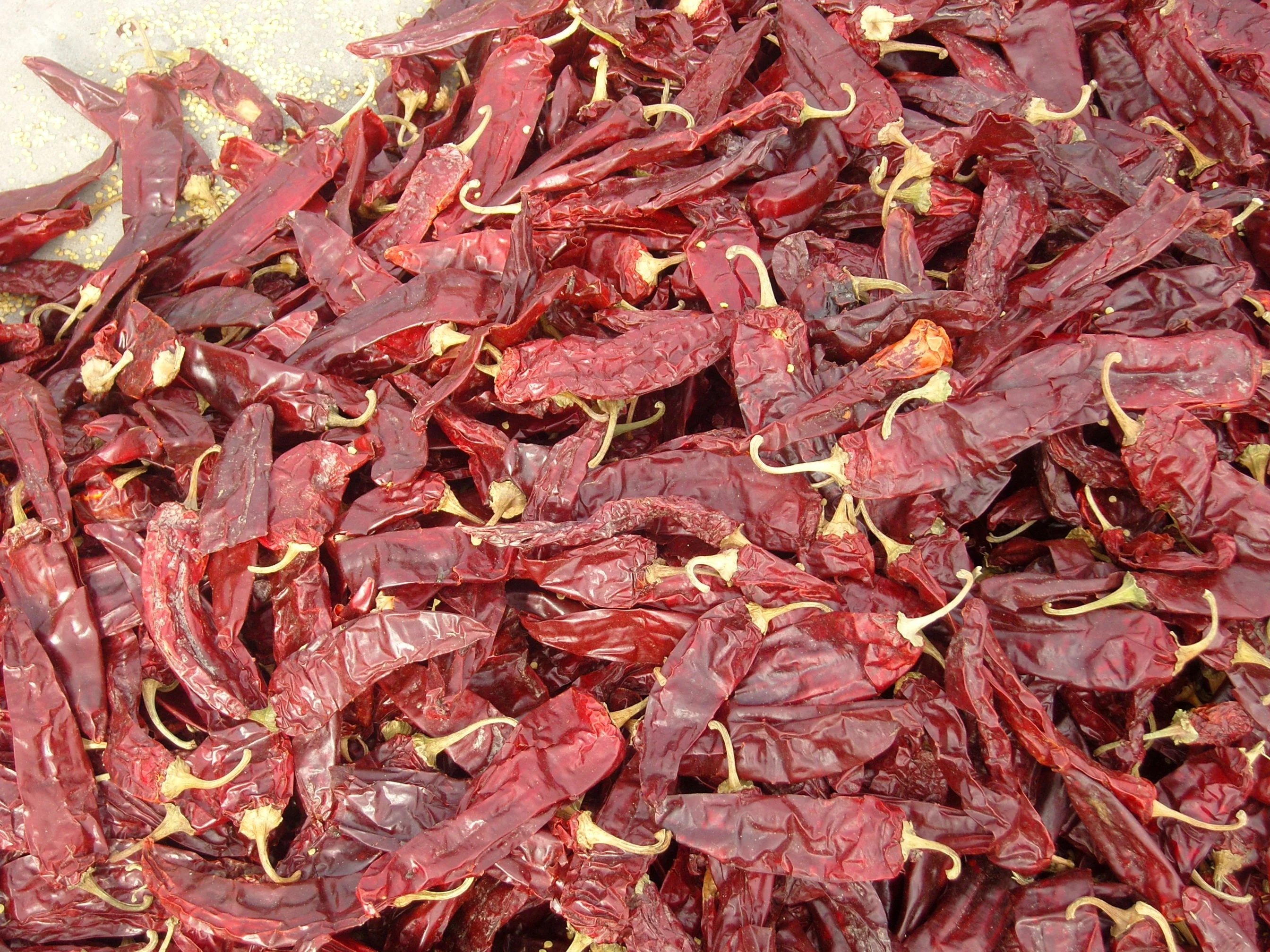 Super paprika whole pods selceted and washed table paprika/sweet chilli