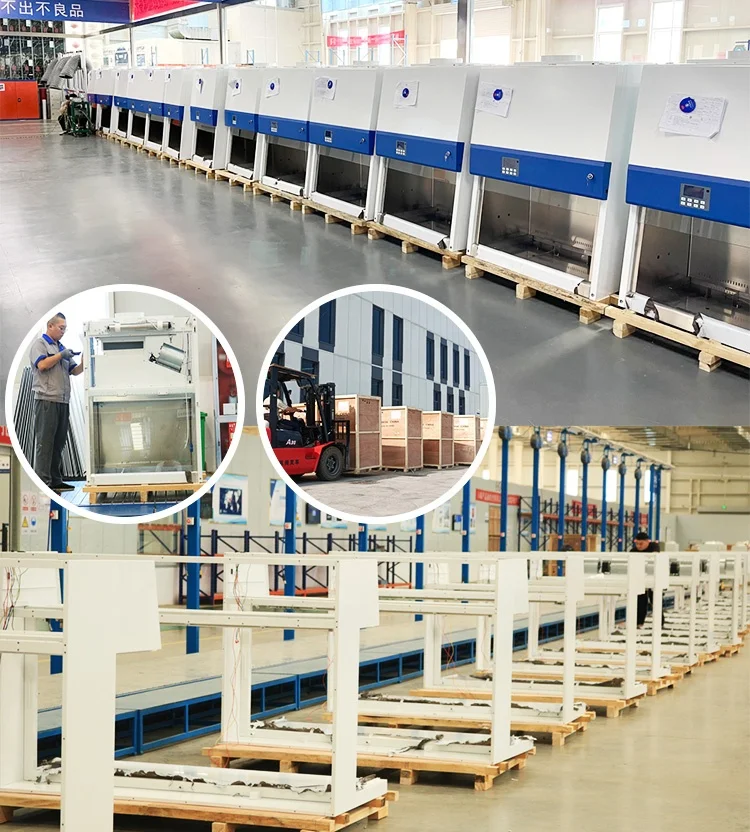 BIOBASE  High Accuracy Gas Chromatograph price dissolved gas analysis equipment oil gas chromatography detectors