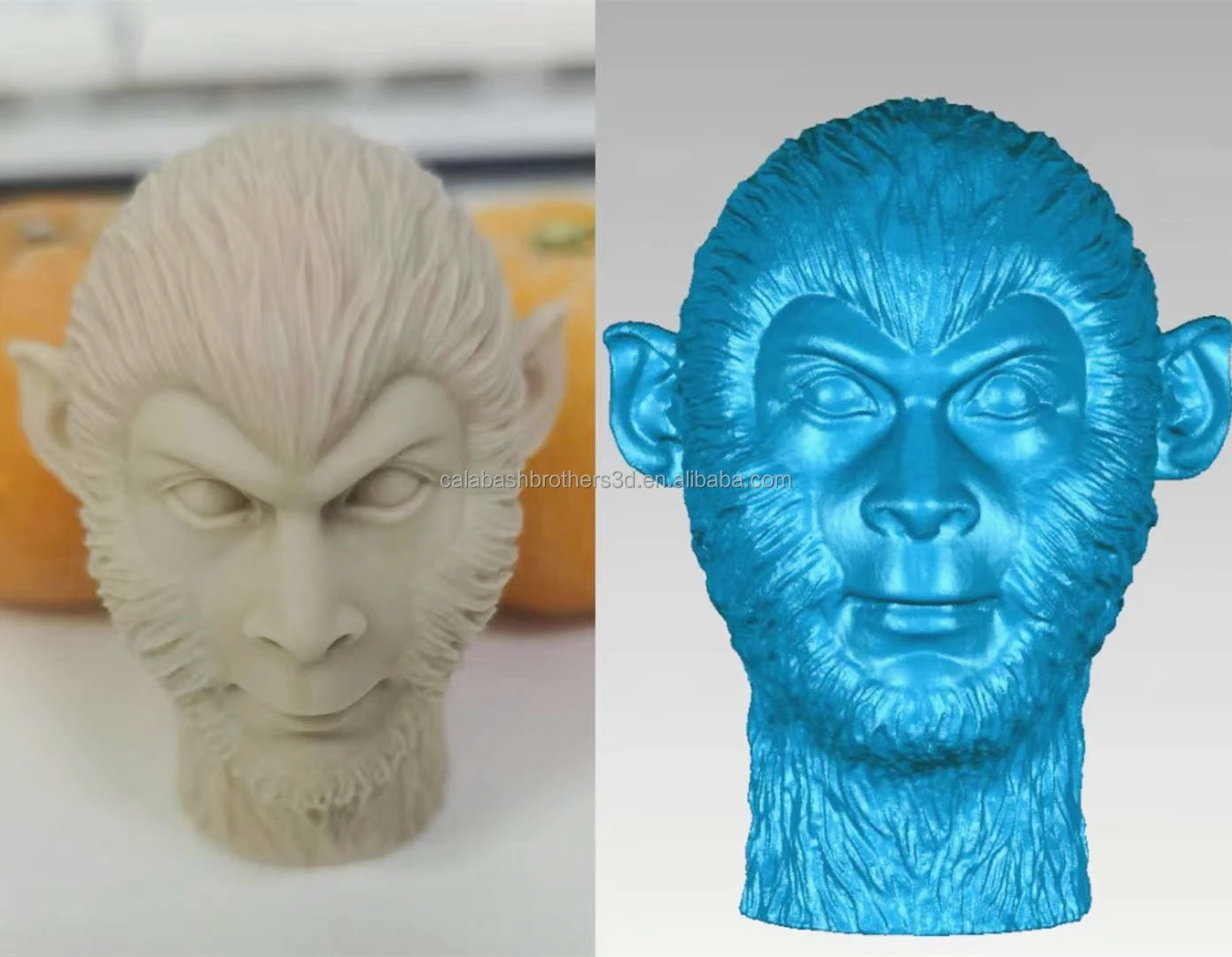 HEAD 3D SCAN1
