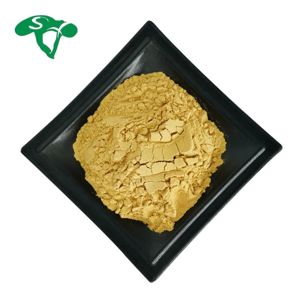Abherb Pure Plant Extract 50% Astragalus Extract Astragalus Polysacharin Powder