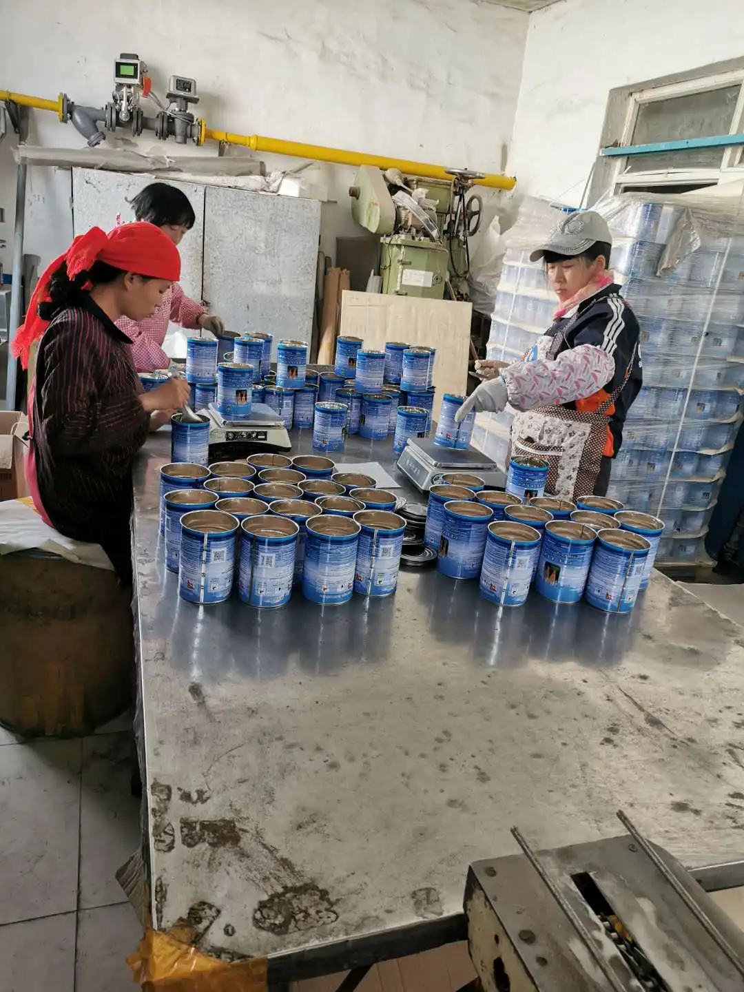 High Hatching Rate Brine Shrimp Eggs Artemia Cysts Ornamental Fish Food