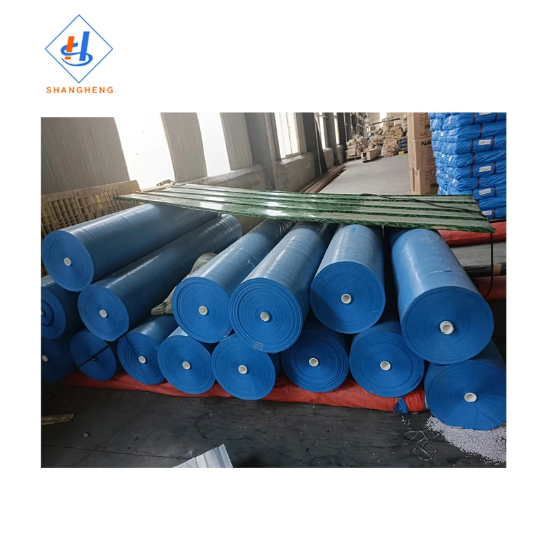 Pe Tarpaulin Blue/Silver Pe Tarpaulin Roll 250 Gsm Army Green Pe Tarpaulin In Roll Price