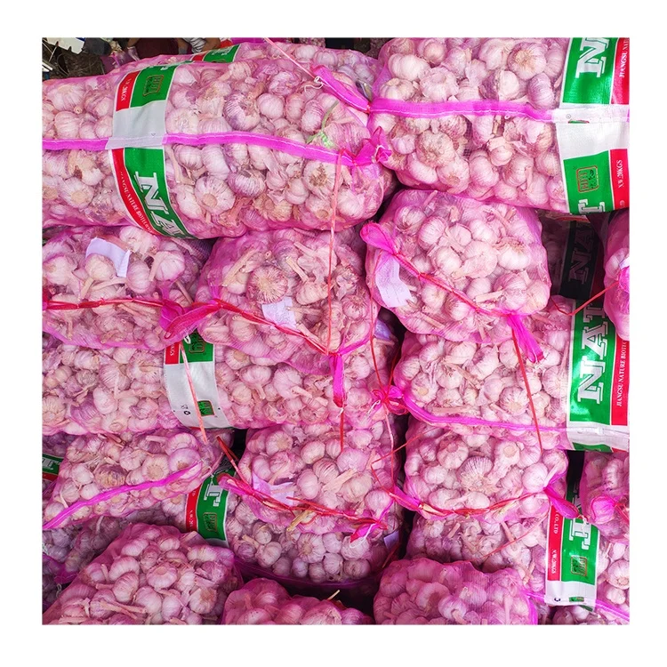 Bawang putih high quality fresh normal white garlic for Indonesia 20kg mesh bag garlic bawang putih