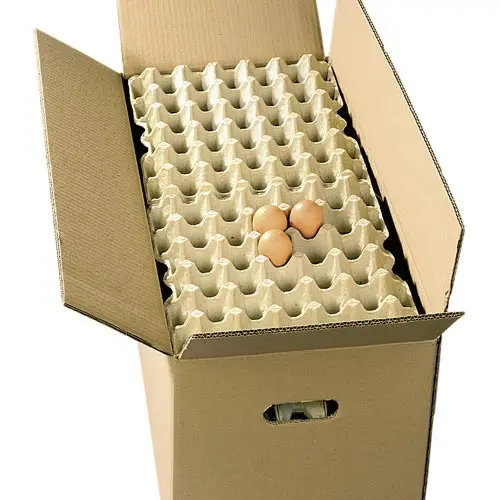 
Shenzhen manufacturer supplier promotion white paper egg carton packaging 