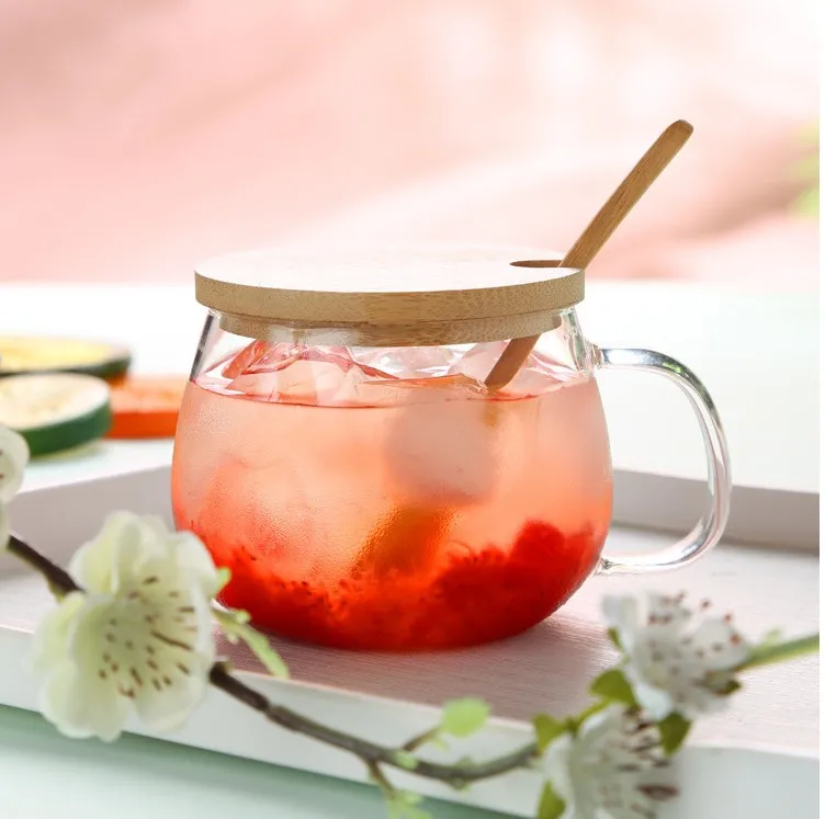 heat resistant high borosilicate glass cup clear tea mug with wood lid and spoon