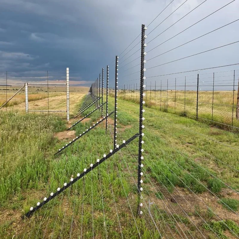 Burglary proof residential houses Anti Climb security electric fence