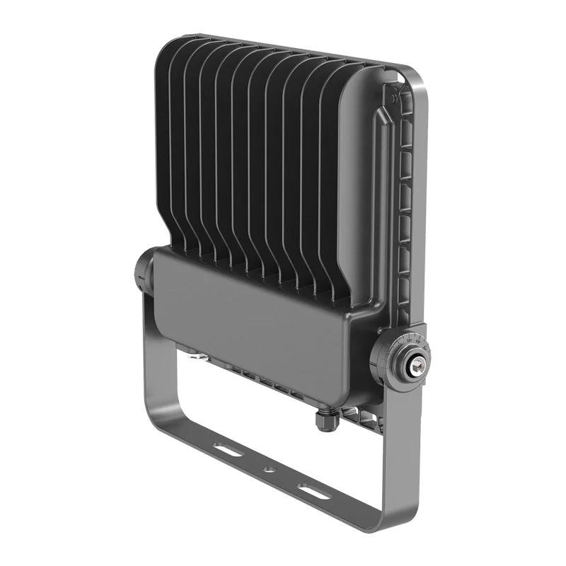 High Luminous Efficiency  IP65 100W LED  Flood Light For Outdoor Area  Lighting