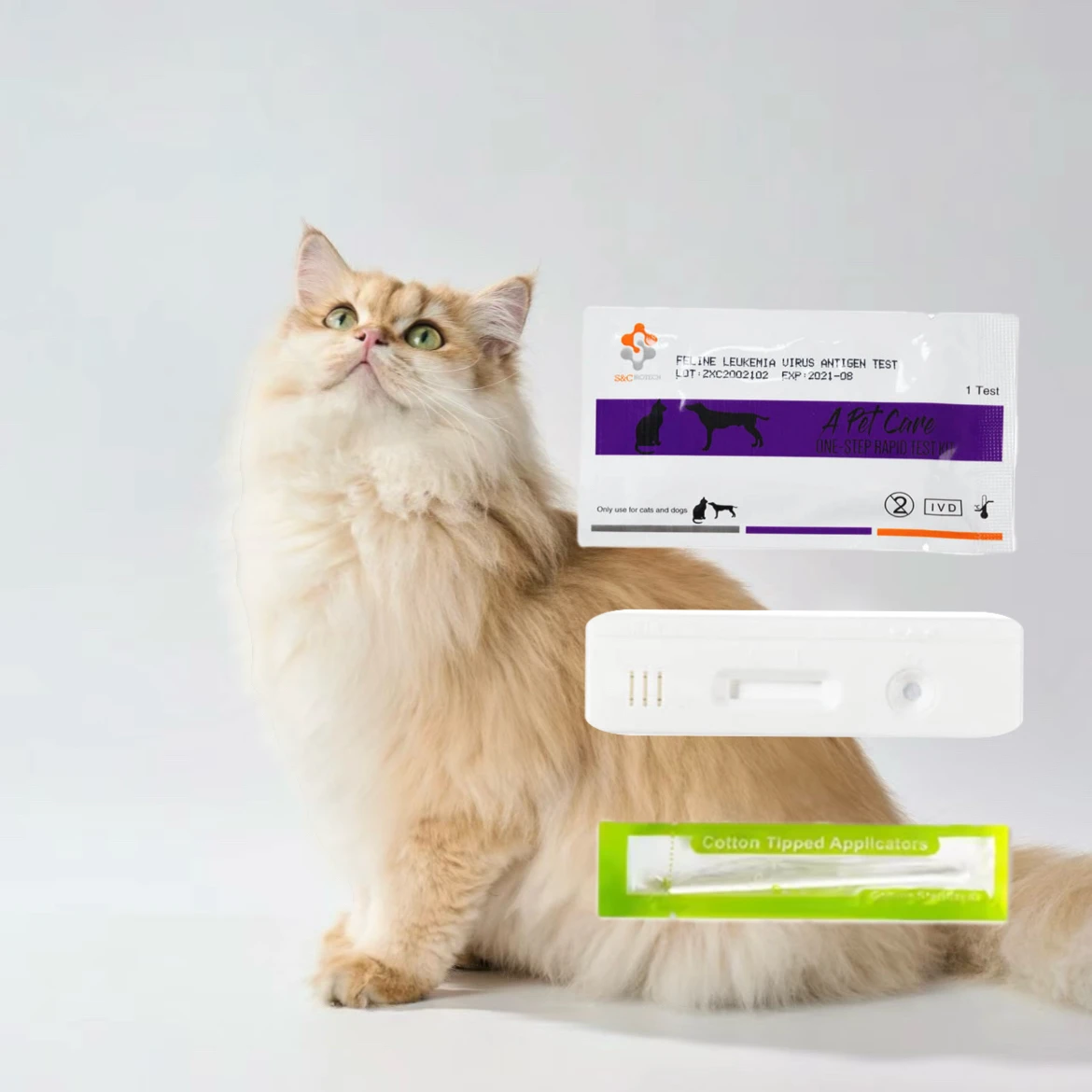 veterinary pet disease rapid cat test reagent feline animal ag kit vid for feline test kit FPV/FCOV/GIA