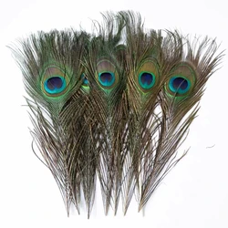 Supplier Wholesale Bulk  Peacock Feathers for Floral Arrangements Wedding Home Party Decoration
