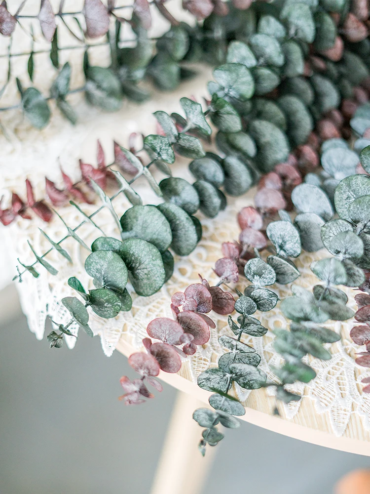 Shopping website top sell natural preserved flowers green eucalyptus for home decor