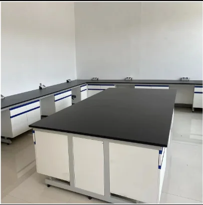 For Free Laboratory Design Lab Furniture Equipment&Lab Workbench With Fume Hood
