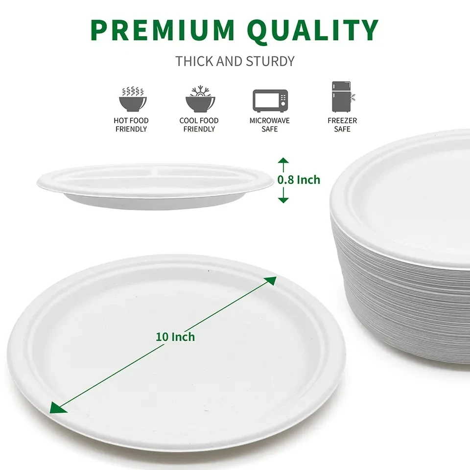 disposable plate 04