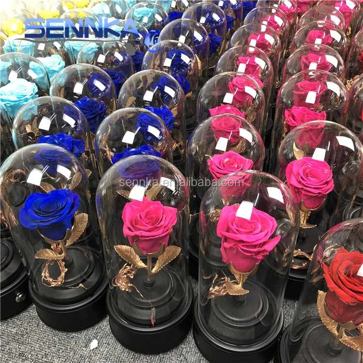 Beautiful LED Light Bluetooth Speaker Preserved Eternal Roses in Glass with Gift Box