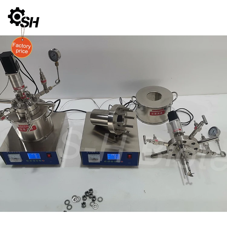 100ml Stainless Steel Magnetic Stirred High Pressure Chemical Reactor