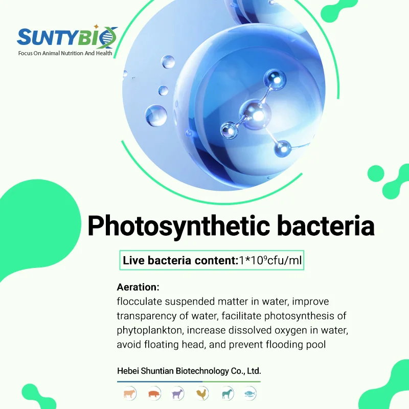 Rhodopseudomonas palustris микробная кормовая добавка для рыб креветок крабов черепах фотосинтезирующих бактерий