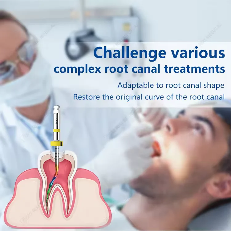 Dental Endodontics Reciprocating Rotary NITI Files 6pcs Heat Activated Root Canal Materials Oral Therapy Equipments Accessories